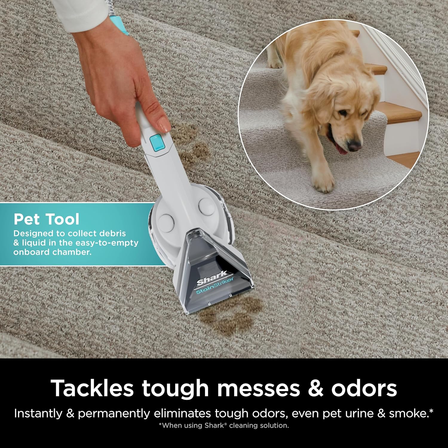 Shark CarpetXpert with StainStriker Upright Carpet, Area Rug & Upholstery Cleaner with Pet Mess