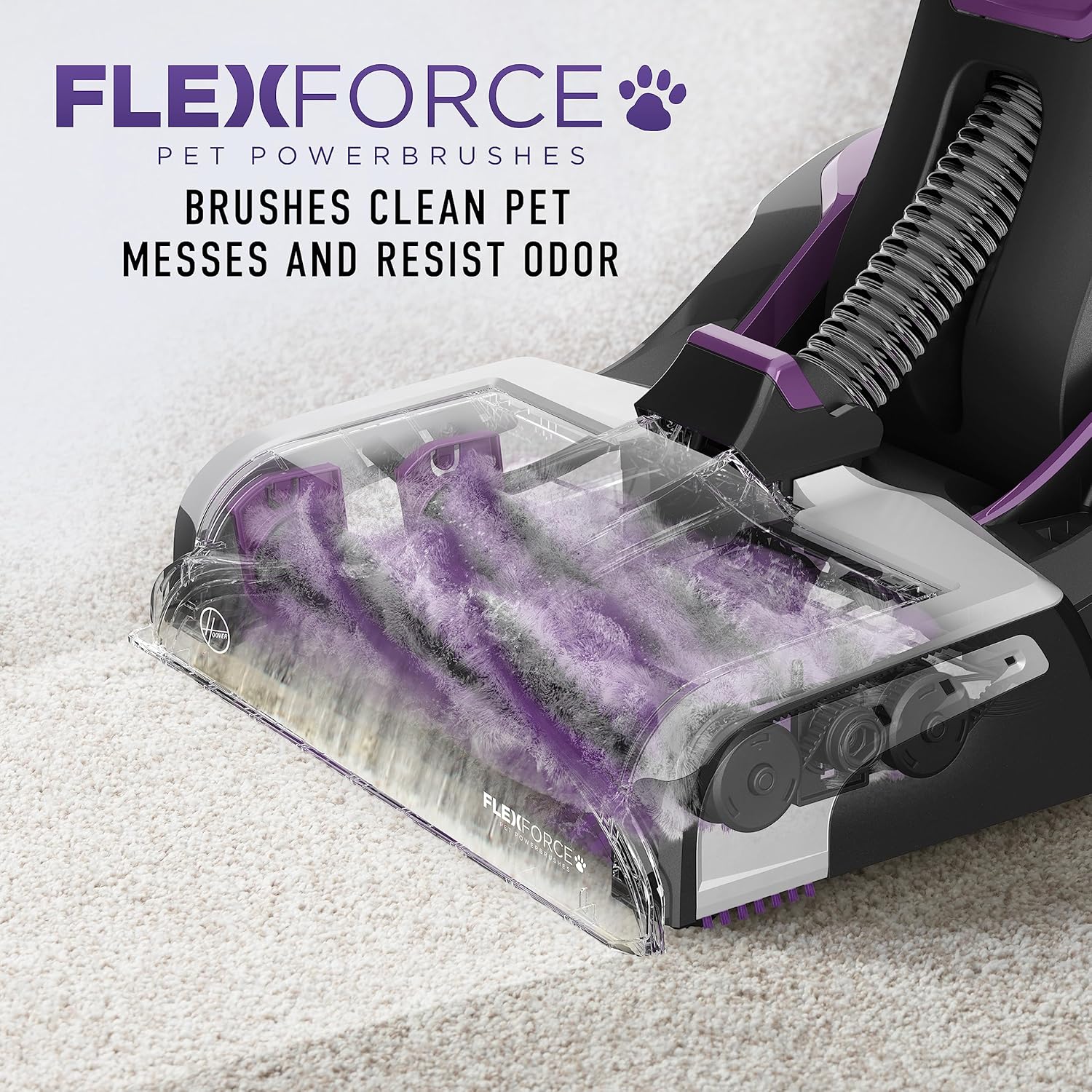 Hoover SmartWash Pet Automatic Carpet Cleaner Machine with Spot Chaser Wand and Storage Mat, Deep