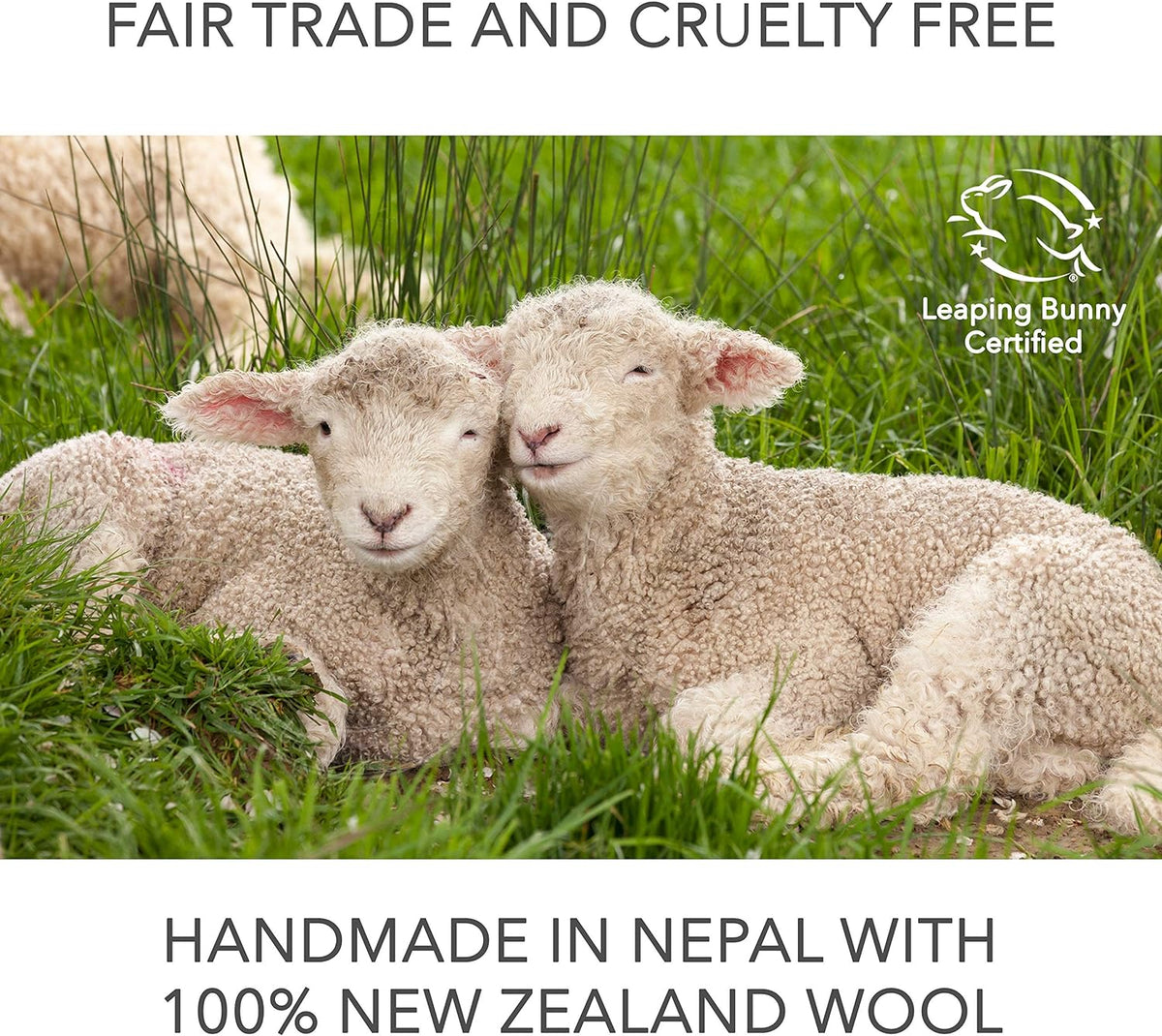 Friendsheep Wool Dryer Balls 6 Pack XL Organic Premium Reusable Cruelty Free Handmade Fair Trade No