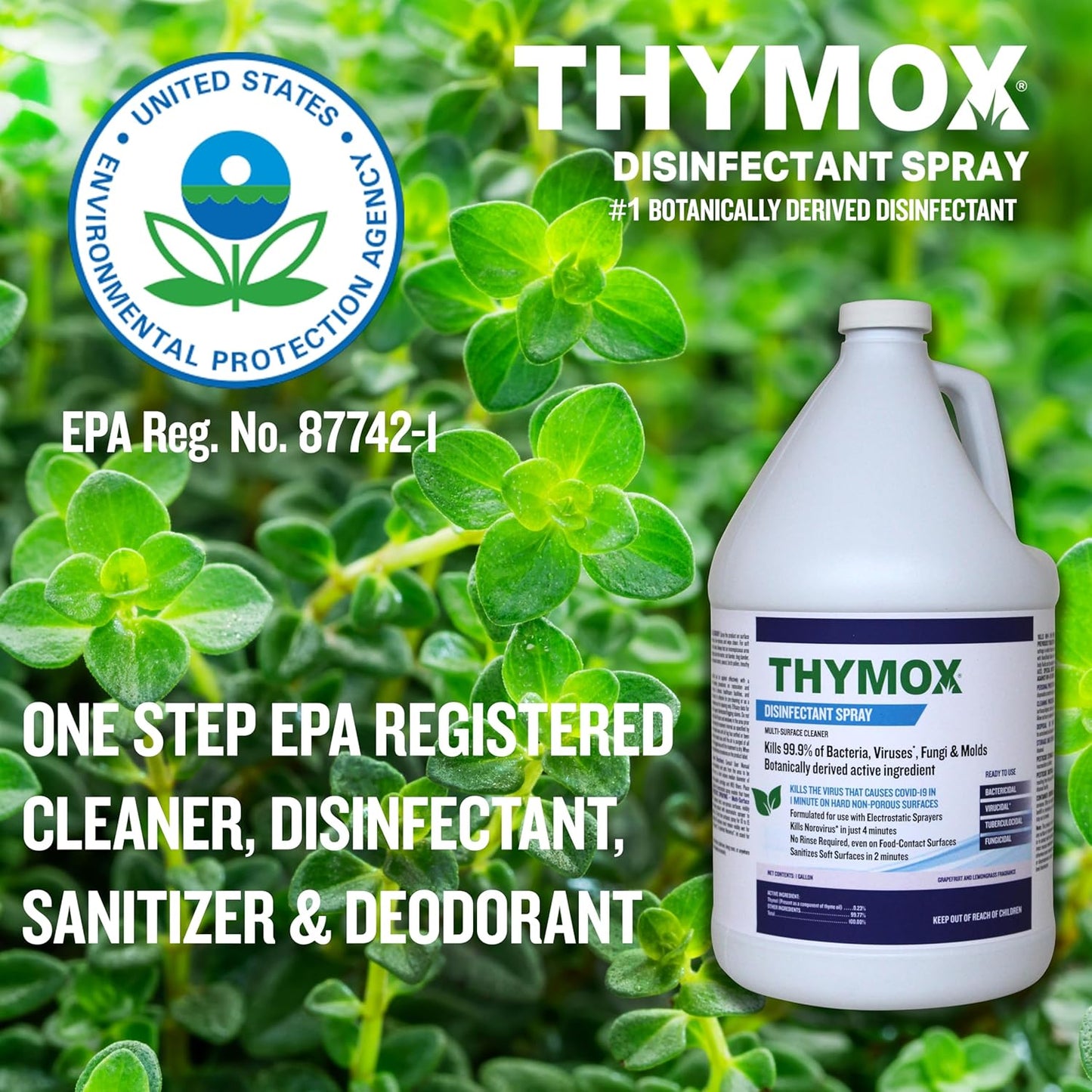 1 Gallon Botanical Disinfectant - All Natural Cleaner Mold Remover, Multipurpose Cleaner, Mold