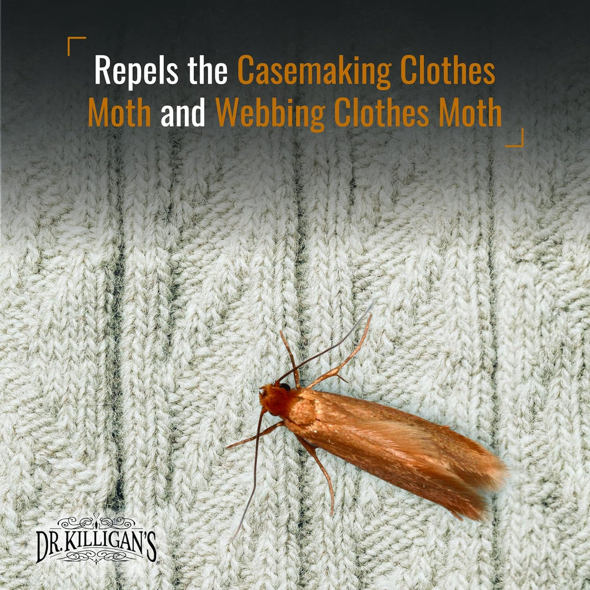 Dr. Killigan's Cedarwood Planks - Cedar Blocks for Clothes Storage, Great Alternative to Moth Balls