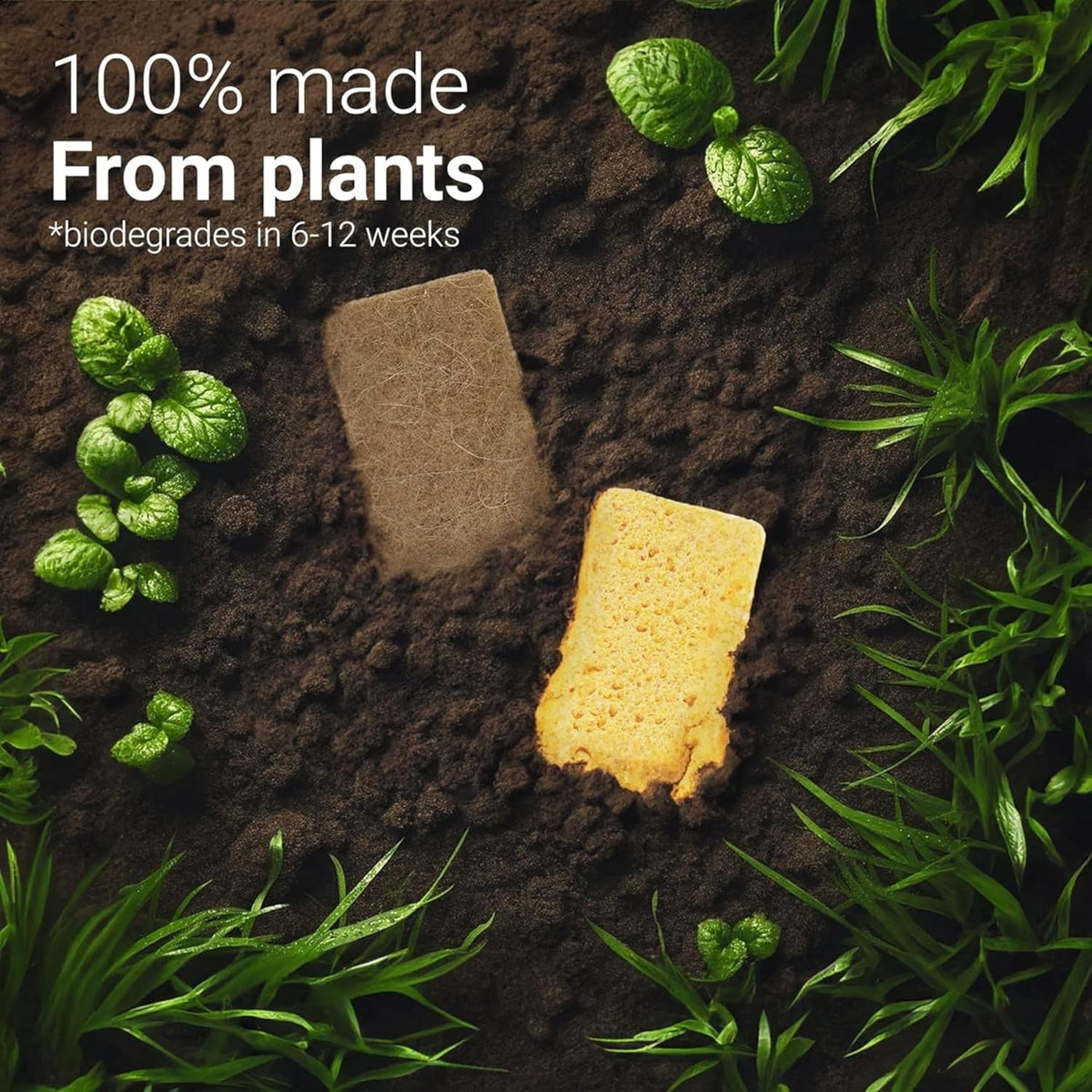 bioGo 24 Pack Biodegradable Kitchen Sponges - Eco-Friendly, Compostable, Natural Cellulose Dish