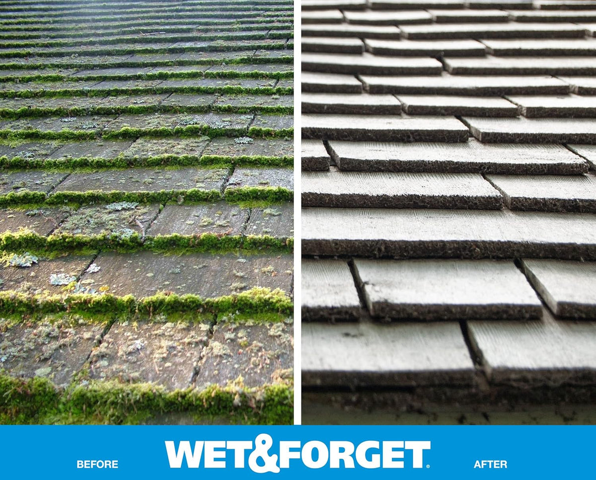 Wet & Forget Moss, Mold, Mildew, & Algae Stain Remover Multi-Surface Outdoor Cleaner Concentrate