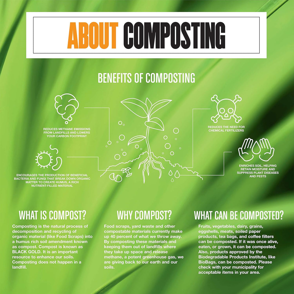 BioBag (USA) The Original Compostable Bag, 8 Gallon, 500 Count, 100% Certified Compostable Trash