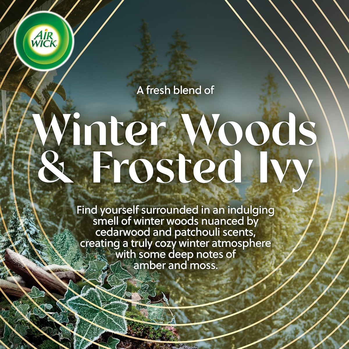 Air Wick Plug In Vibrant Scented Oil, Campfire + Winter Woods, Air Fresheners for Home Long