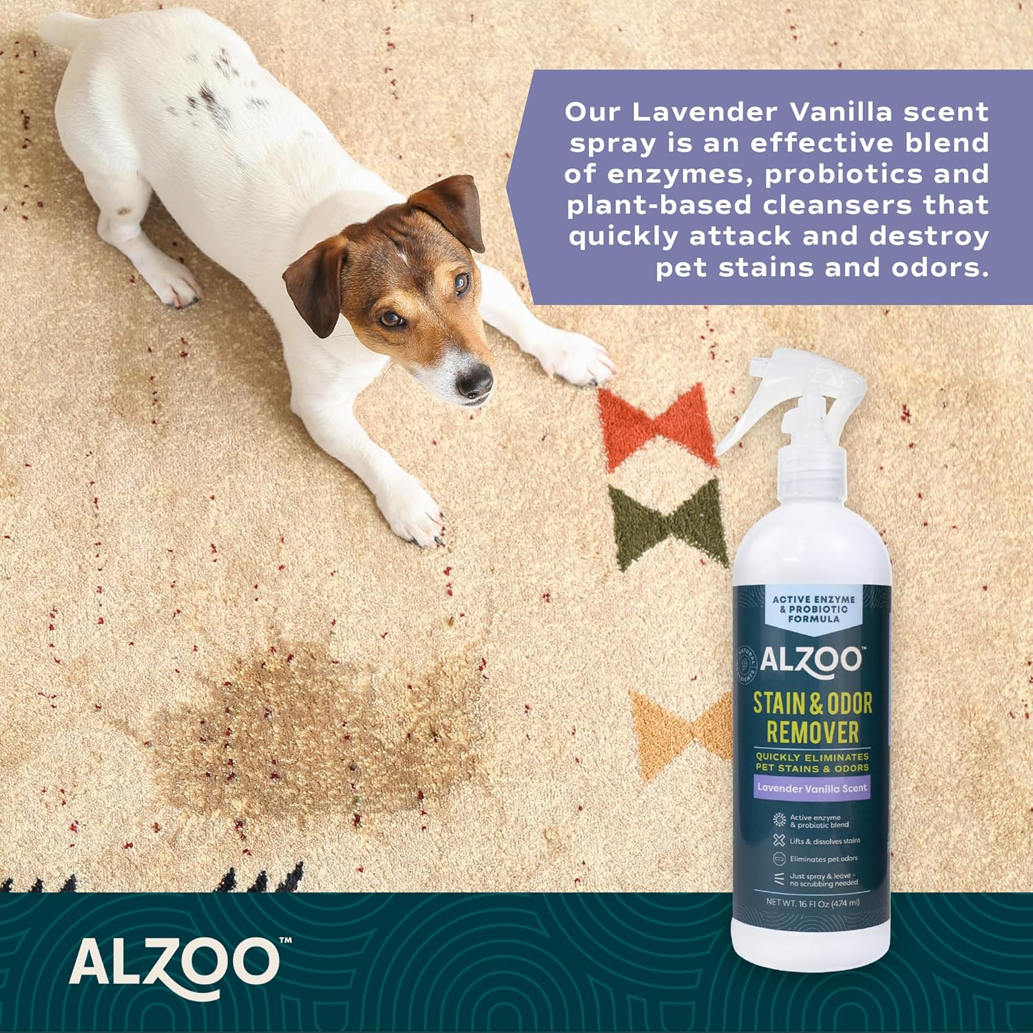 ALZOO Stain & Odor Remover, Quickly Lifts & Dissolves Pet Stains & Helps Eliminate Odors, 100%