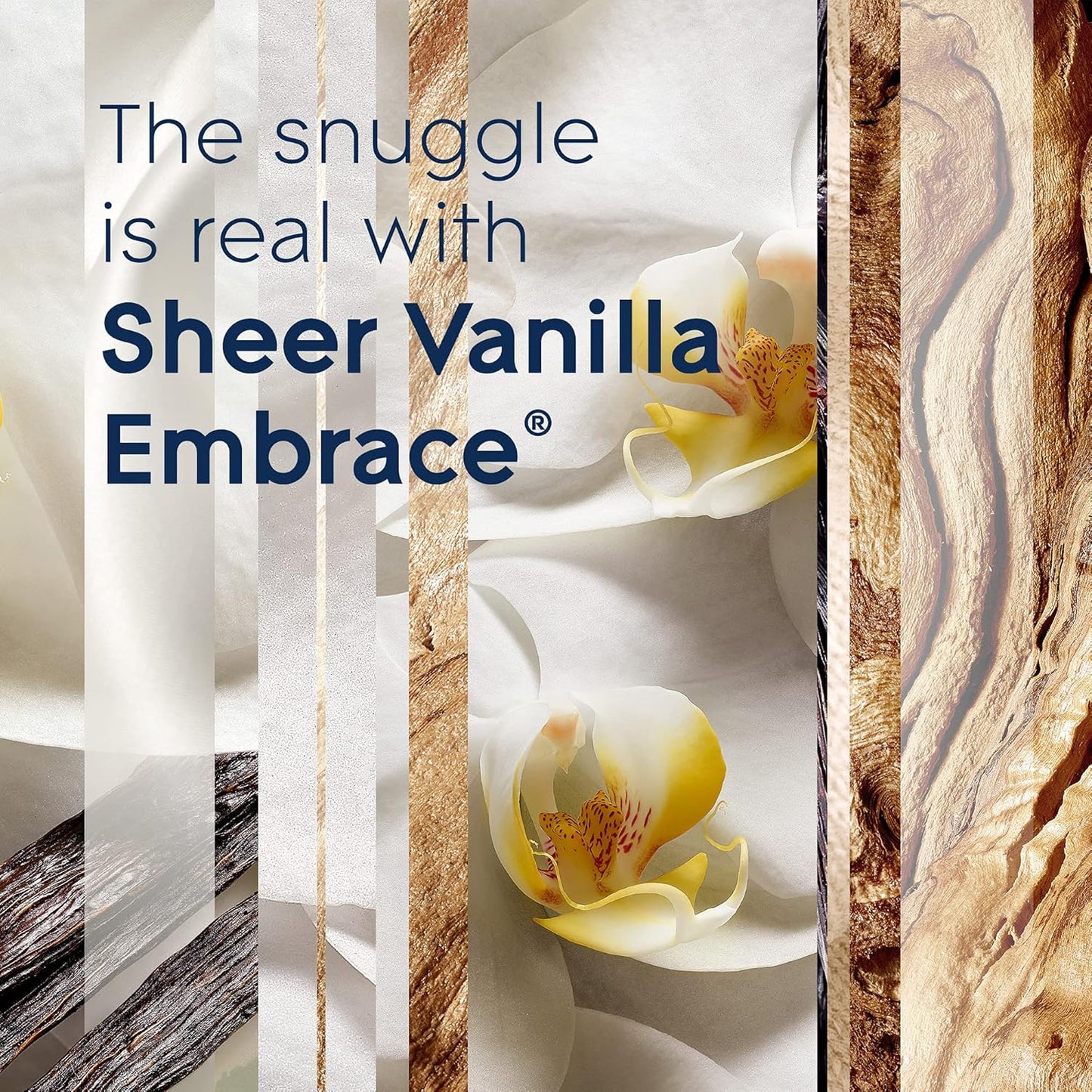Glade PlugIns Refills Air Freshener, Sheer Vanilla Embrace, Scented and Essential Oils for Home and