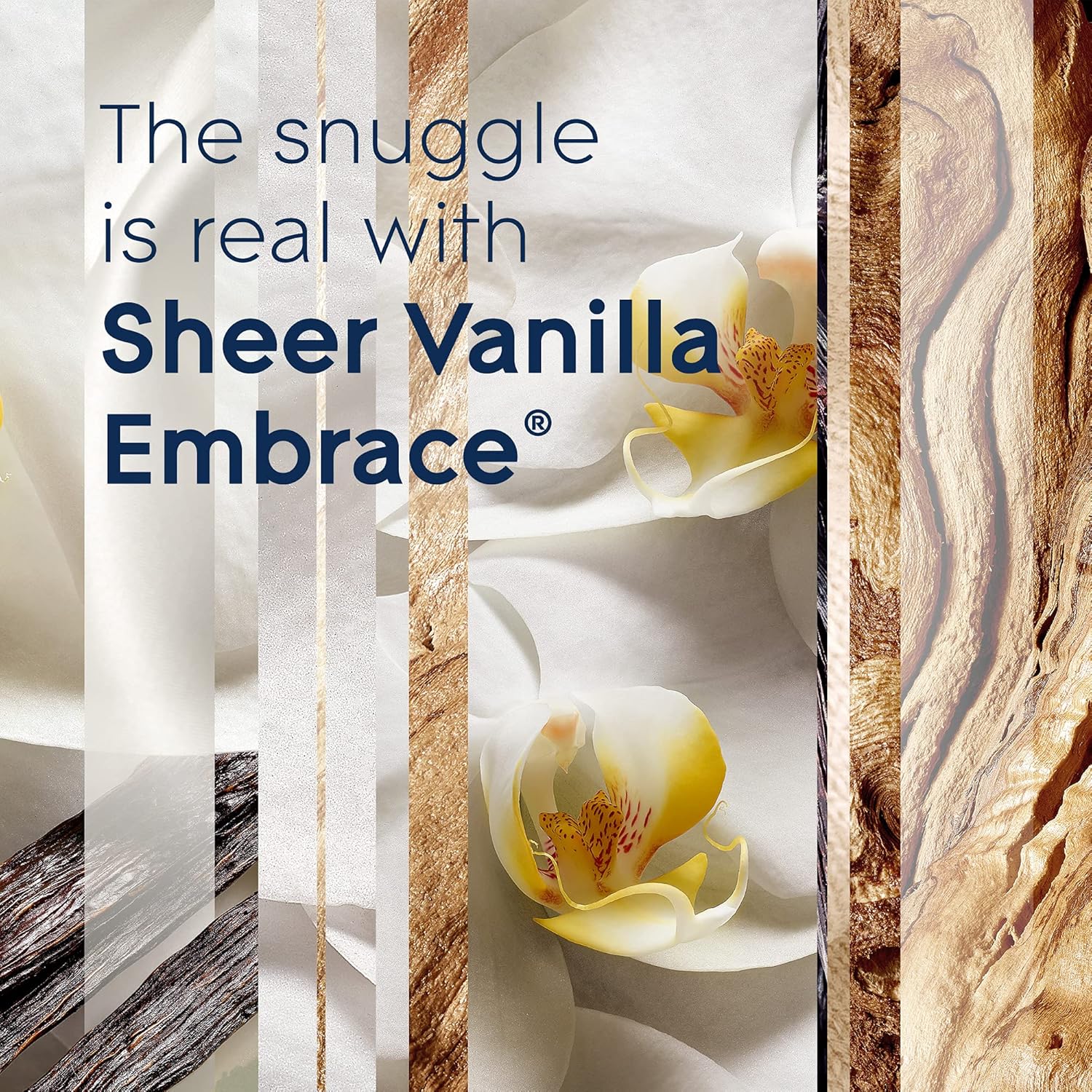 Glade PlugIns Refills Air Freshener, Sheer Vanilla Embrace, Scented and Essential Oils for Home and