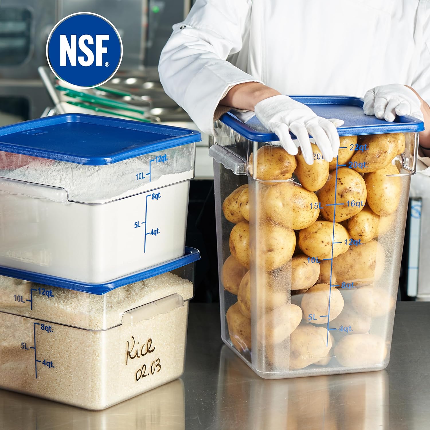 CURTA 4-Pack Food Storage Containers with Blue Lids - 12 Qt & 22 Qt Square Clear Polycarbonate
