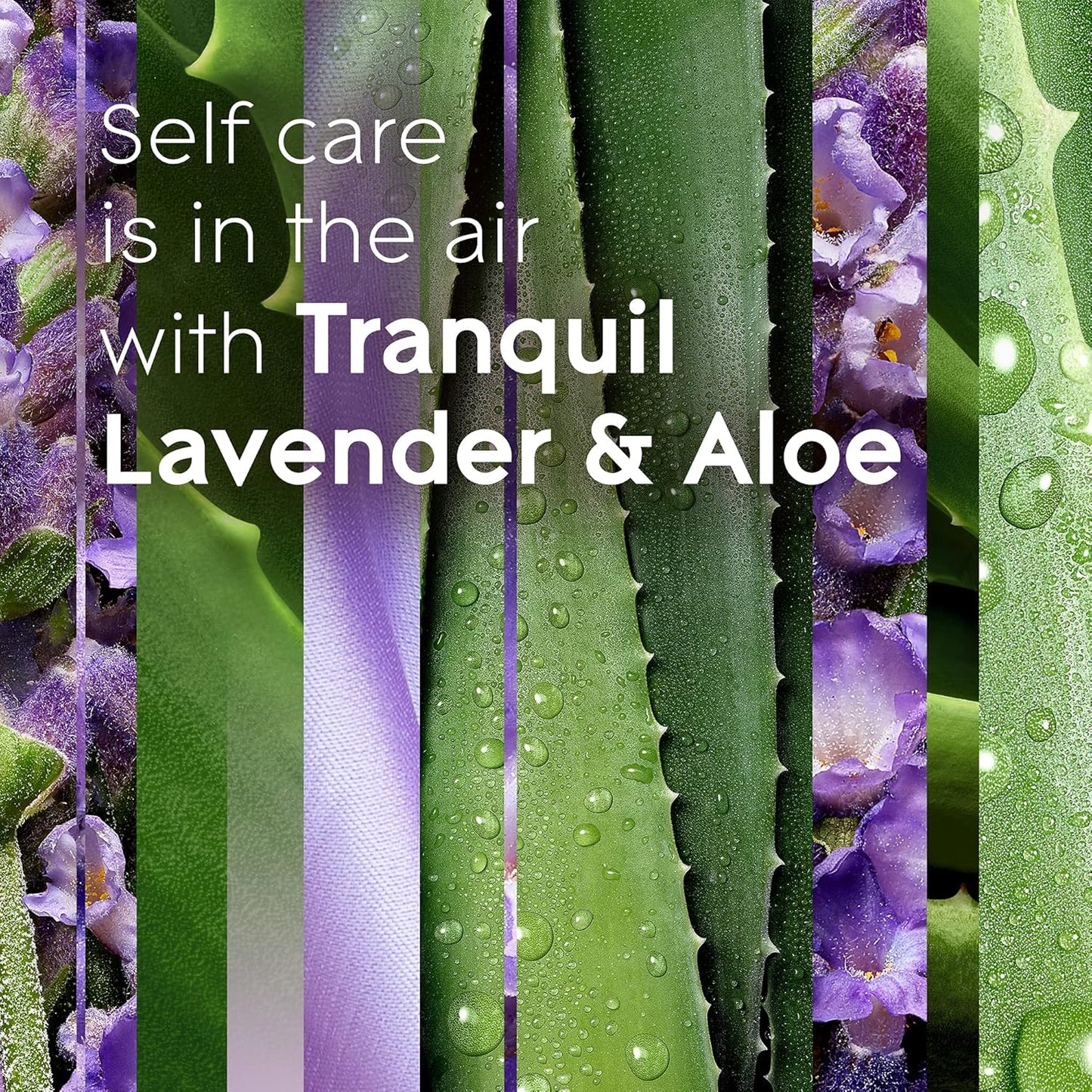 Glade PlugIns Refills Air Freshener, Tranquil Lavender & Aloe, Scented and Essential Oils for Home