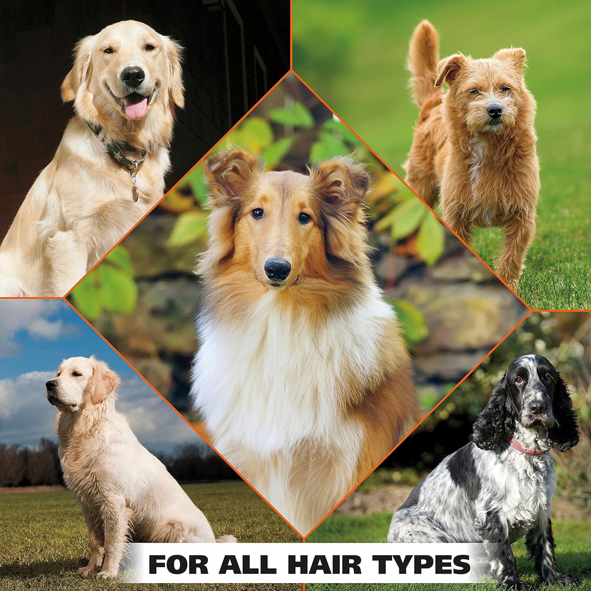Wahl USA Pet Refresh Cleaning Wipes for All Dog Breeds - Use on Ears, Nose, Paws, Bottom, &