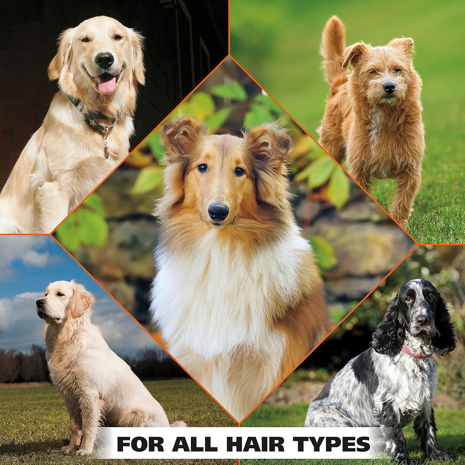 Wahl USA Pet Refresh Cleaning Wipes for All Dog Breeds - Use on Ears, Nose, Paws, Bottom, &